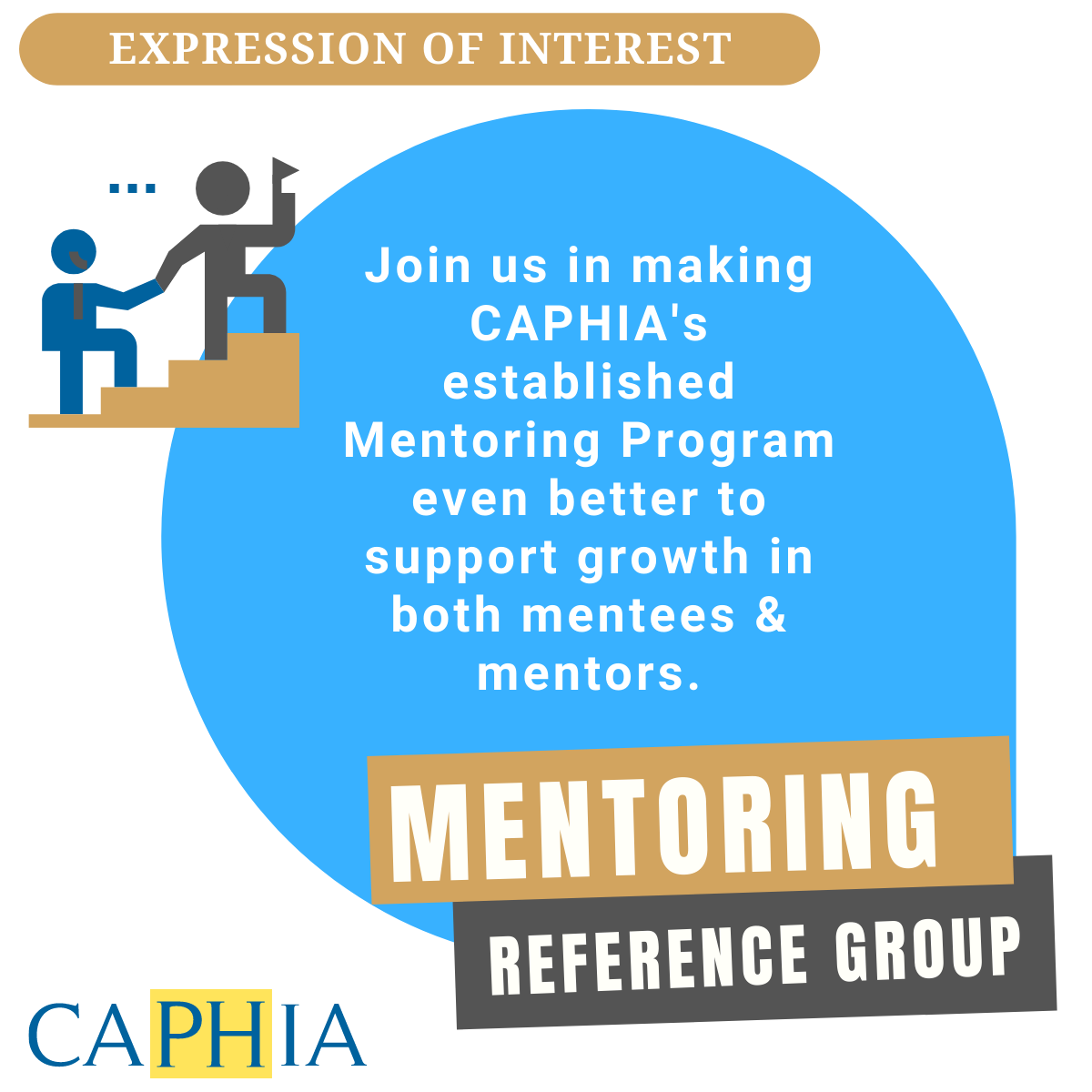 Mentoring Program • Council of Academic Public Health Institutions ...